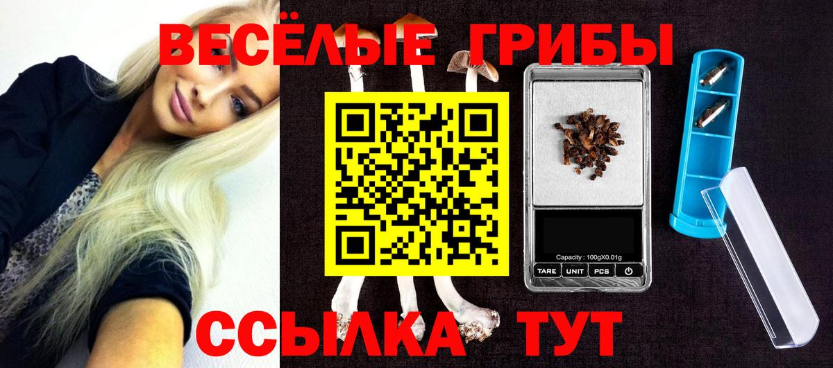 Псилоцибиновые грибы мицелий Элиста