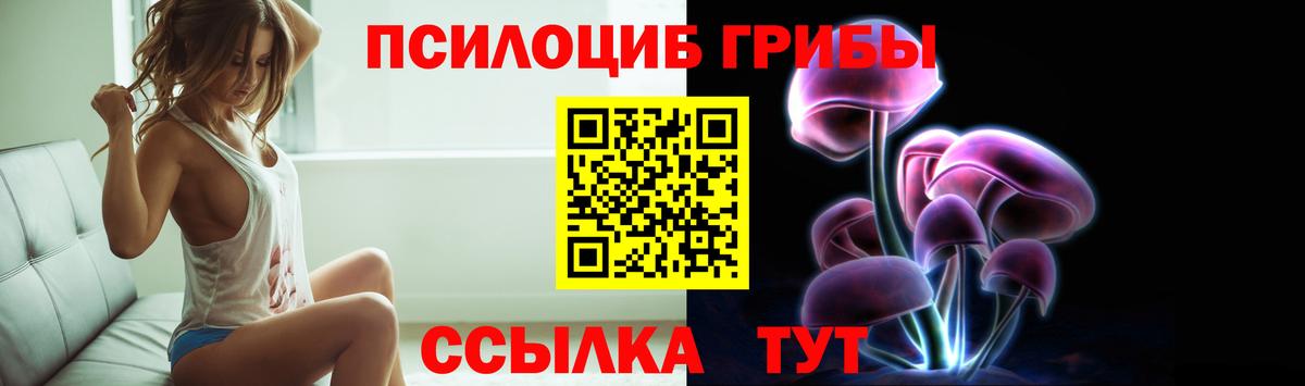 Галлюциногенные грибы Psilocybine cubensis  Вход с VPN  Элиста 
