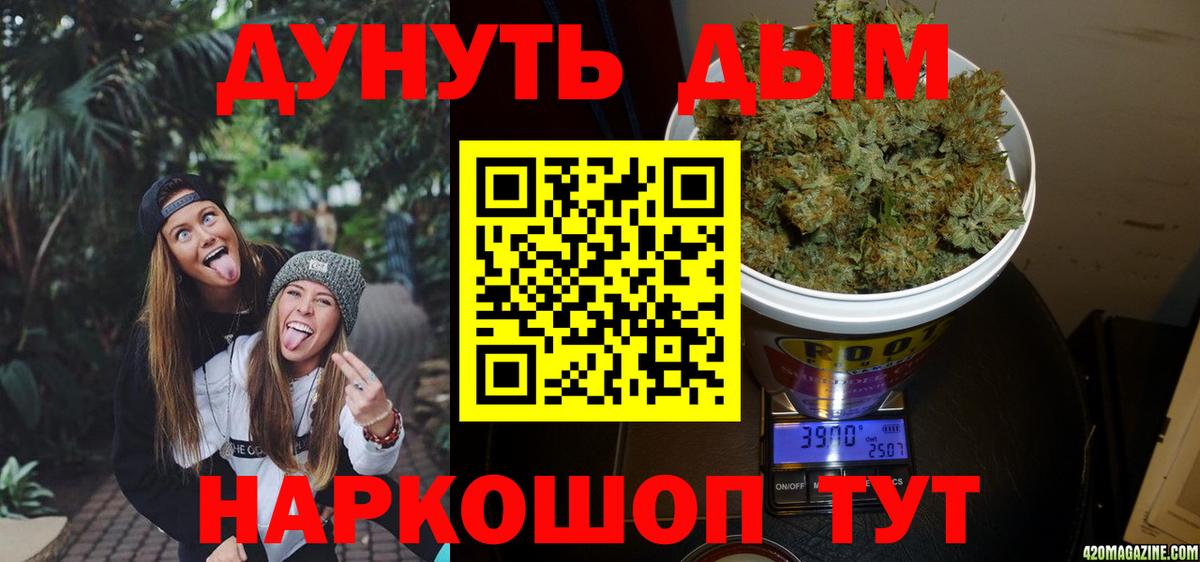 Бошки марихуана семена  Вход с VPN  Элиста  Марихуана семена 
